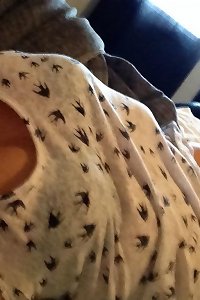lush girls engage in horny threesome joy